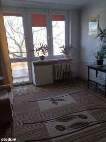 Mieszkanie 2- pokojowe 38m2, Włocławek Śródmieście