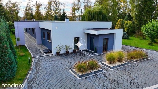 Chojnów, legnicki, dolnośląskie