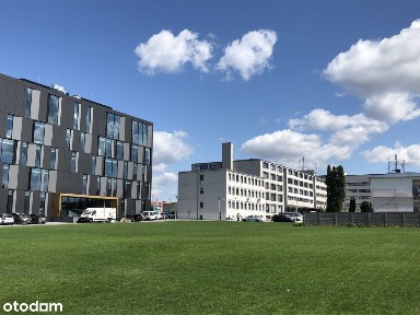 Powierzchnie Biurowe do Wynajęcia!