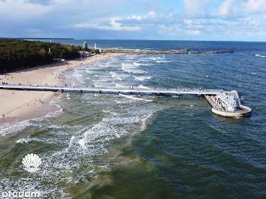 Bivalvi | apartament 2-pok. | 29,59 m² | 405