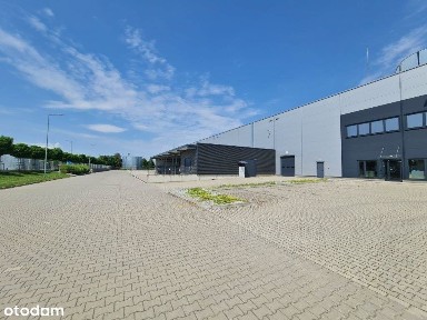 Nowoczesny magazyn na sprzedaż w Gnieźnie