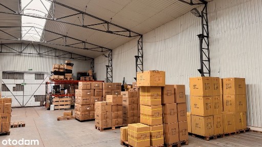 ul. Sycowska, Kotowo, Grunwald, Poznań, wielkopolskie