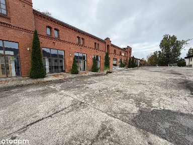 Lokale użytkowe do wynajęcia 150-500 m², witryny, Gniezno