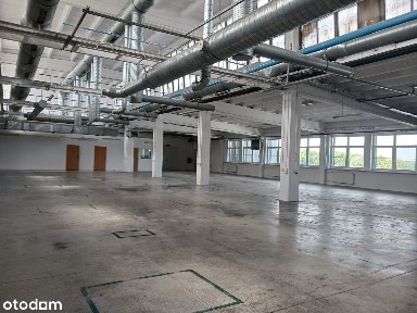 Magazyn / Produkcja 3600 m2 w Pabianicach