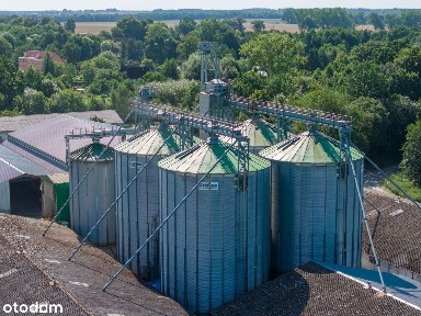 Baszewice, Gryfice, gryficki, zachodniopomorskie