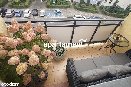 ul. Zacisze, Osiedle Zacisze, Centrum, Zielona Góra, lubuskie