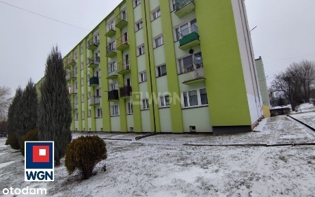 Kawalerka na parterze - do wynajęcia !