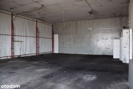 Centrum, Zielona Góra, lubuskie