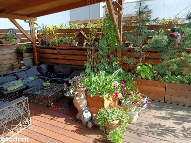 Piękne mieszkanie z dużym tarasem i widokiem na miasto