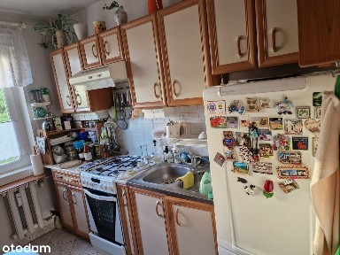 ul. Jawornicka, os. Mikołaja Kopernika, Grunwald, Poznań, wielkopolskie