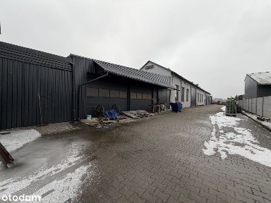 Dobra Nadzieja, Pleszew, pleszewski, wielkopolskie