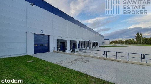 Hala/Magazyn, 5 700 m², Opole