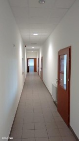 Koninko ok.A-2 hale o pow. od 1200m2 do 5000m2 +biuro - 0 PROWIZJI