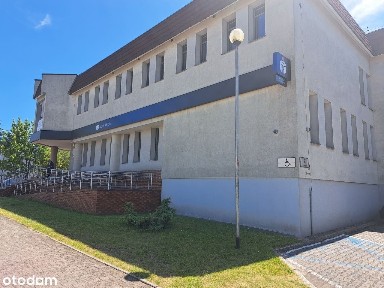 Pajęczno, ul. Wiśniowa 34/38 - wynajem - magazyn