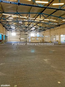 Hala Magazynowa i Biurowiec ! Ogrodzony!