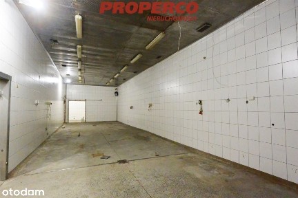 Hala ok 1650 m2 + plac 3000 m2, Piekoszów