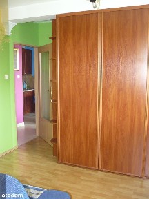 ul. Małej Brzozy, Grodzisk, Białołęka, Warszawa, mazowieckie