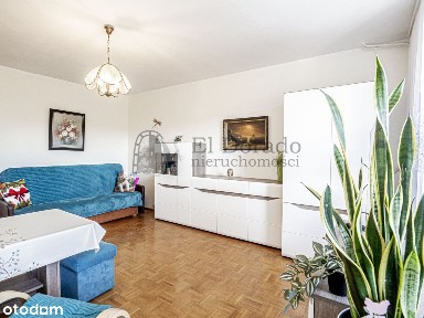 Przestronne mieszkanie z przepieknym balokem wśród