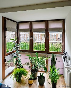 2 Pokoje Z Balkonem! Do Wejścia!