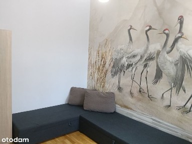 Śródmieście, Gorzów Wielkopolski, lubuskie