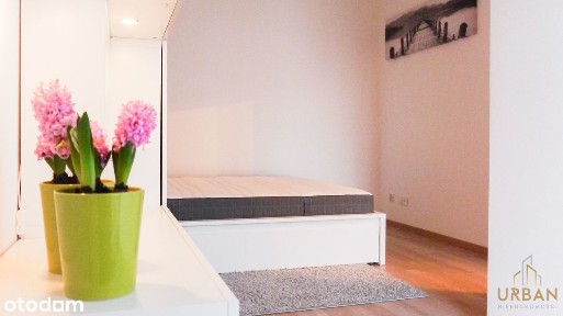 2-pok | Borek | Al. Wiśniowa | od marca