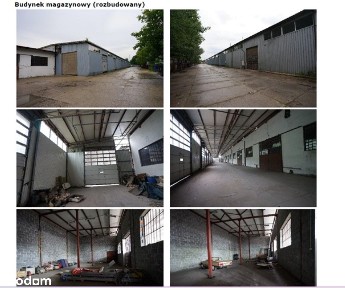 Syndyk wynajmie magazyn