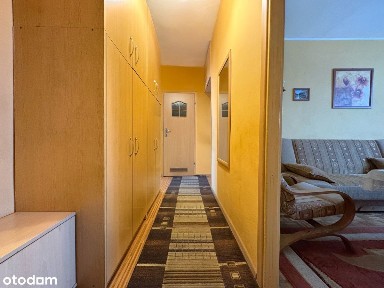 Heleny Modrzejewskiej, Załęska Hałda-Brynów, Katowice, śląskie