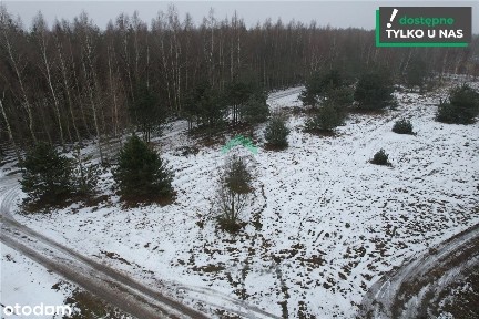Dom na sprzedaż, Wręczyca Wielka, 4 pokoje