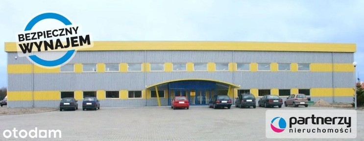Do wynajęcia utwardzony plac 1000 m2