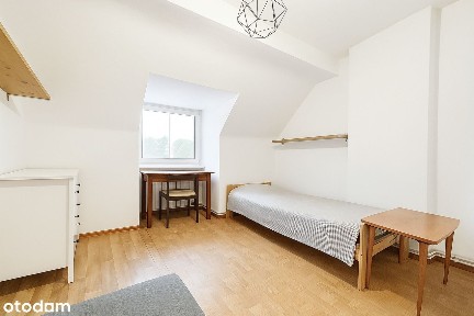 3M| kamienicakomórka lokatorskastrych| TYLKO U NAS!