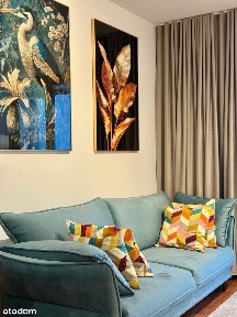 Wysoki standard | 3 pokoje | Siłownia | Basen | Od zaraz