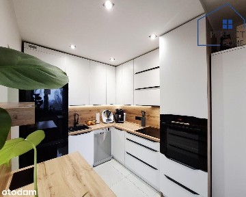 Jastrzębie-Zdrój, śląskie