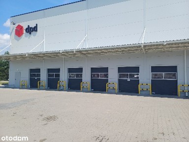 ul. Forteczna, Wrzosy, Toruń, kujawsko-pomorskie