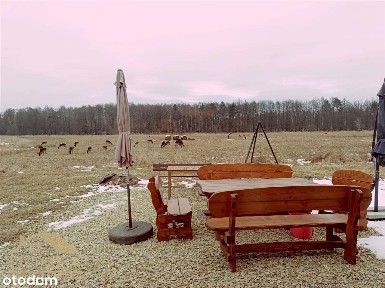 Dom 80 m² z widokiem na las | działka 1000 m² |