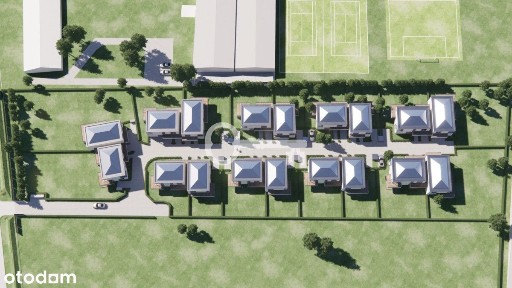 Zielona okolica | Minimalizm