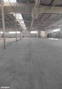 Prusice, trzebnicki, dolnośląskie