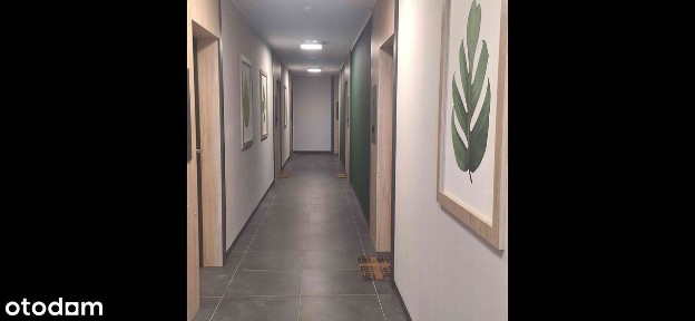 ul. Lawendowe Wzgórze, Jasień, Gdańsk, pomorskie