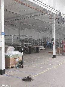 Dąb, Katowice, śląskie