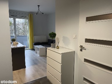 Kawalerka w koronach drzew