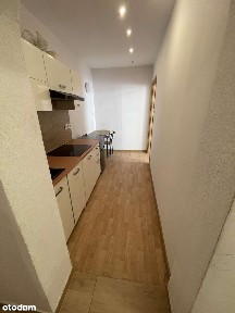 Apartament inwestycyjny w centrum Torunia 2w 1!