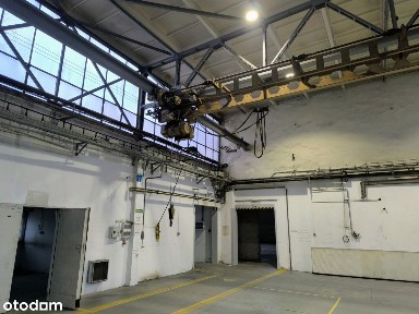 Dąb, Katowice, śląskie