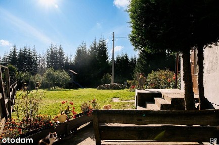 Dom wolnostojący w Puszczy Rominckiej - las, jezioro