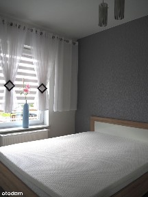 Mieszkanie na wynajem 45m2 Park Zawiszów dostępne od zaraz