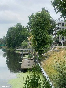 Centrum Wrocławia ul. Walońska/ Angel Wings!