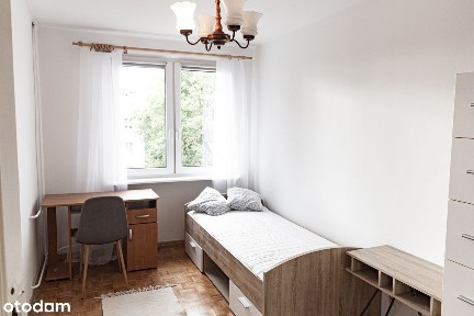 Bema idealne pod studentów