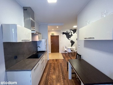 Mieszkanie po gruntownym odświeżeniu do wynajęcia