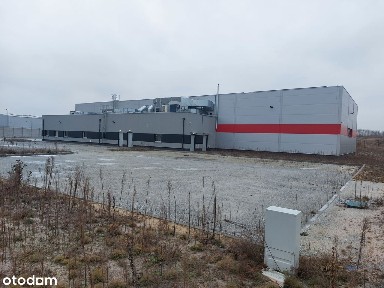 Nowoczesna hala produkcyjno - magazynowa na wynajem
