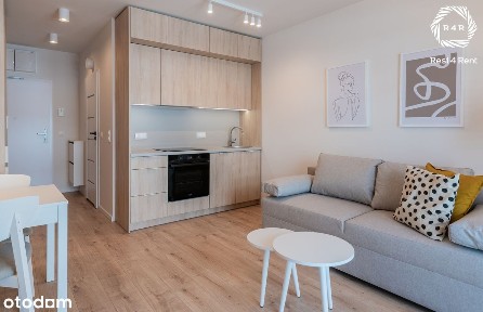 Nowoczesne studio | Bez Prowizji | Przyjazne Zwierzętom | Od Zaraz