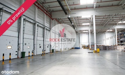 Magazyn 6250 m2 w Pile od zaraz - 0% prowizji
