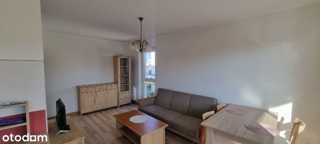 ul. Azaliowa, Pruszcz Gdański, gdański, pomorskie